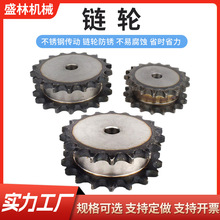 链轮输送带链式输送机工业传动设备用3分4分5分双排齿轮链条