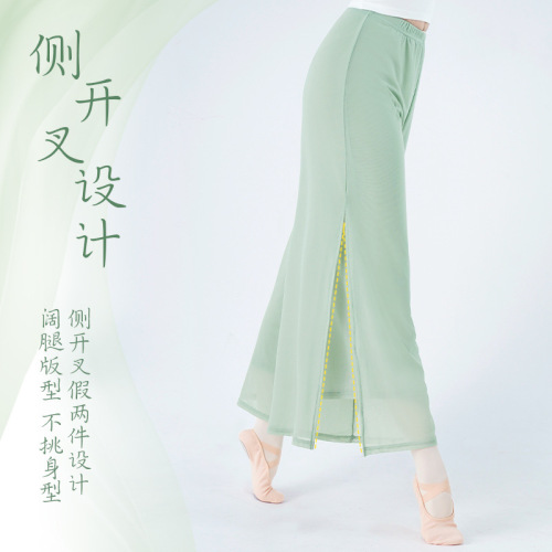 Dance wear trousers for women, adult modern dancers, double-layer mesh side slit trousers, loose-fitting classical practice pants