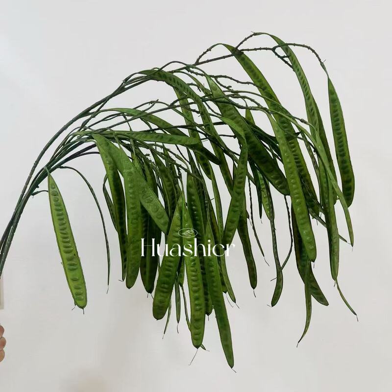 Trendy Plant: Popular Green Plant, Alisma, Dragon Beard Grass, Floral Artist's Forest-Style Arrangement, Landscaping, Wedding Simulation