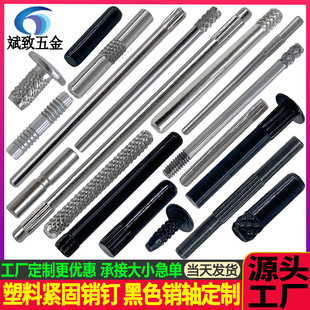 ���Ͼo�̼� �̶��N� �̶����N �B�Ӳ��N ̼��N�S ��ɫ�N�S�N�