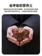 ?Ҭ�u�I�B���N��ͨ����Ó�}Ҭ����KҮ�u�����������B�������Nֲ