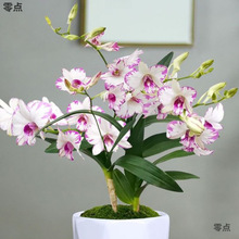 ����ֱ�l�ͺ��̓�����ˮ�Bʯ���m�ļ����_�҃����滨�ܾGֲ�����