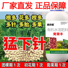 花生膨大粒粒饱花生增产专用叶面肥水溶肥促下针多胎多果籽粒饱满