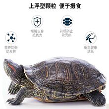 ���Z�����������{��ʯ�����r���a�}ͨ�üZʳ��С�������