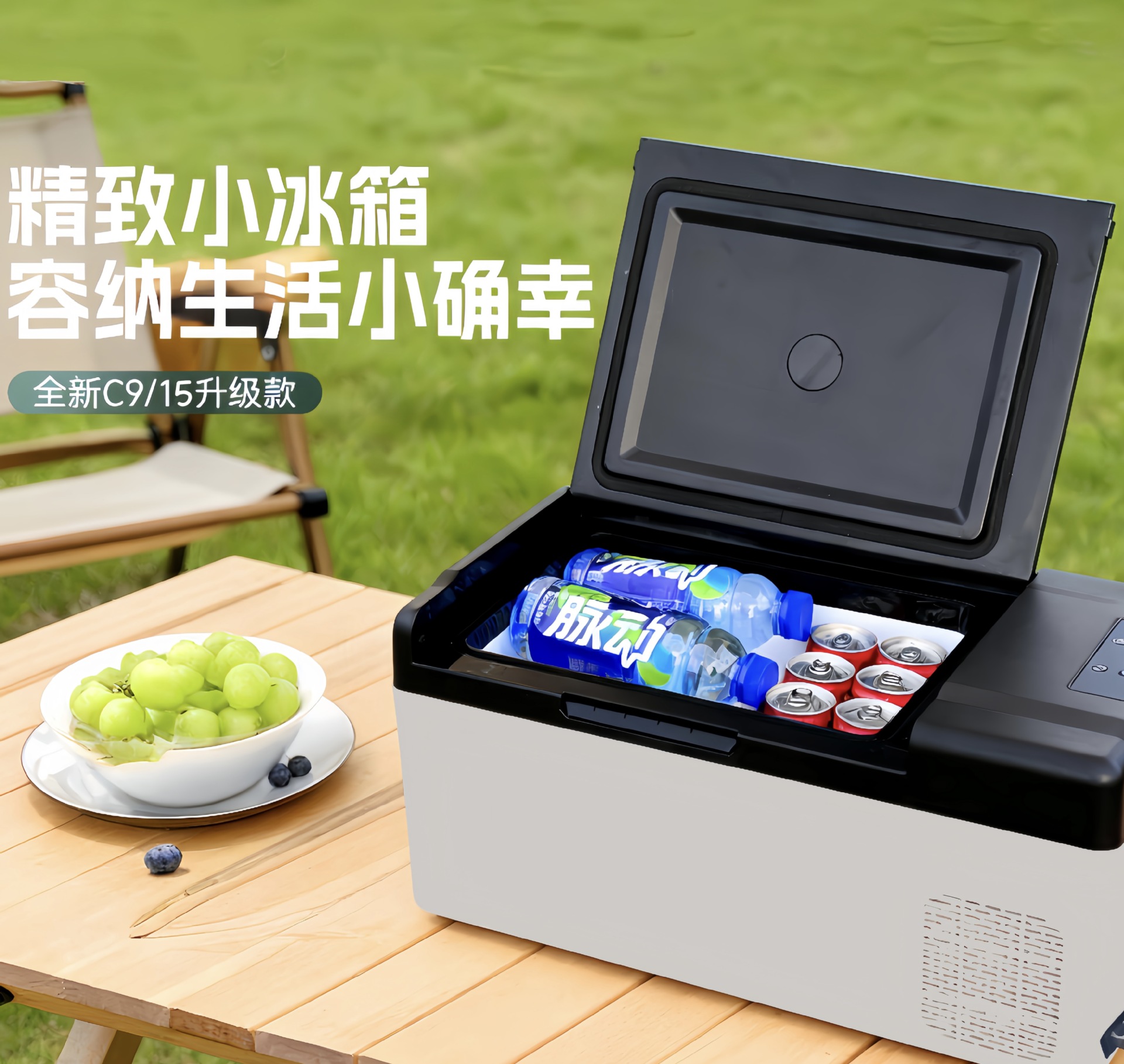 Car Refrigerator Compressor Mechanism for Freezing and Refrigeration, Outdoor Cooler, Dual-Use for Car and Home, Portable 12V/24V Storage Box