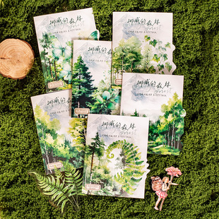 Ketchup Girl's Large Size PET Sticker Norwegian Forest Series Green Series Hand Account Decoration Imaging Collage