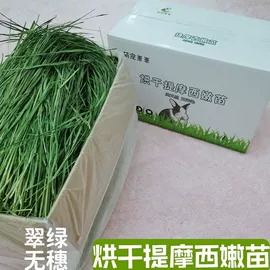 花盆容器;狗狗窝/笼/垫;盆栽