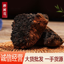 ����� Ұ������� ���_˹�������ș�Ę�����B�������������l