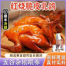 【粤式名菜】粤味婆脆皮乳鸽红烧咸香乳鸽加热即食快手菜工厂批发