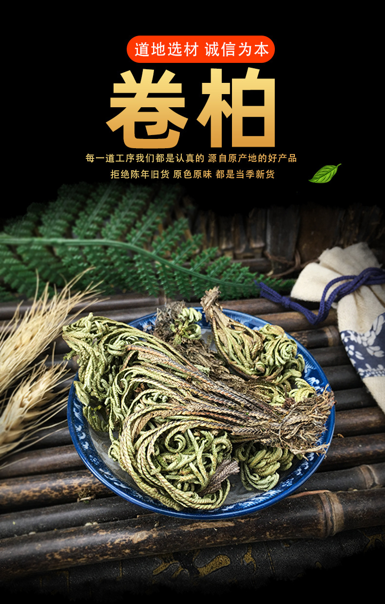 Dried Selaginella Juan Bai 500g Whole Herb Resurrection Grass Traditional TCM Botanical key features