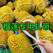 ������ɏ�������_����ɏ���������S��ֱ��֧�ִ��l���iʽ����