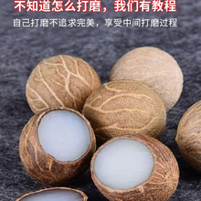 菩提根原籽 菩提散珠按斤卖 白玉菩提根原料手串戒指佛珠散珠批发