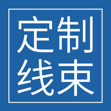 汽车连接器 线束制作 来图来样 快速出样 线束加工