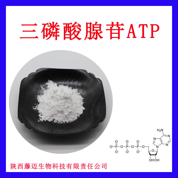 三磷酸腺苷无中间嘌呤核苷三磷酸含质检ATP三磷酸腺苷腺