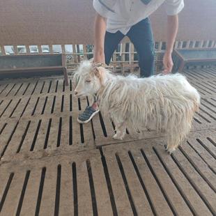 ������۳��ꌙ����r�� ������Ʒ�N ���ȿɐ� �˹��Bֳ �����ԏ�