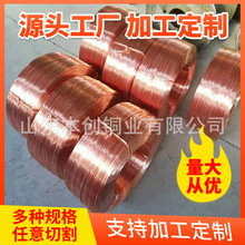 厂家现货批发T2紫铜线无氧铜线 C1100铜线保电阻铜丝