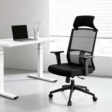 �k�������w���W�� ���ÿ��ɾW���T�κ��s�F����X�����m����