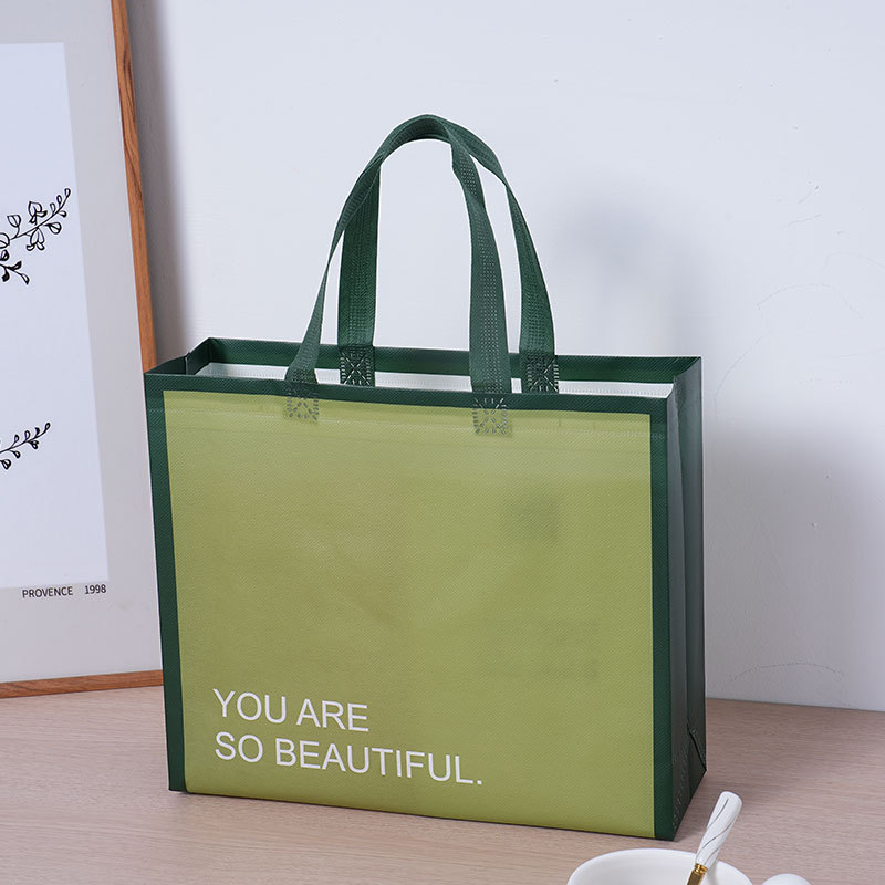 Bolsas de tela no tejida de alta calidad Bolsas personalizadas LOGO personalizadas Bolsas de ropa de mujer lotes