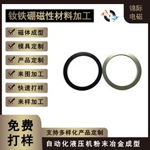 精密电机磁环高精度粘结钕铁硼钕铁硼磁环强磁铁强力钕铁硼注塑