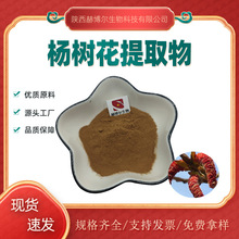 杨树花提取物50:1 30:1 10:1水溶粉 杨树花提取 原料粉 现货批发