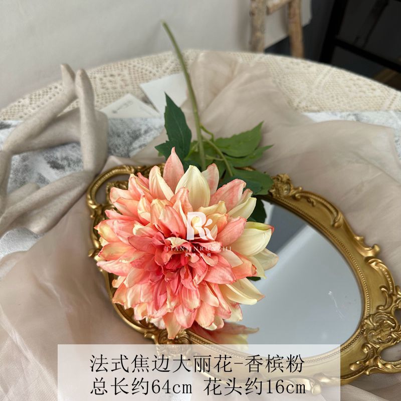 샴페인 가루