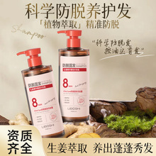 侧柏叶八重植物生姜防脱洗发水正品控油蓬松防脱发洗发露一件代发