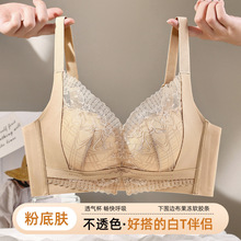 ۵ҺT͸[ξ۔nŮ۔nո{