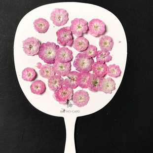 Ultramicro Rose Dried Flower Embossed Gel Drop Mobile Phone Case Real Flower Beauty Makeup Viscose Flower DIY Photo Frame Flower Table Lamp