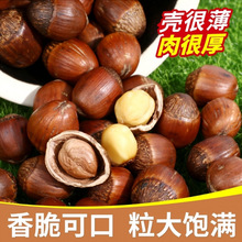 榛子炒熟原味糖炒薄皮大2023新货散装按需称重厂家批发代发