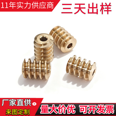[蜗杆现货 非标零件可定制0.5模蜗杆传动配件数控车床加工三天出样]