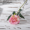 Factory velvet Ruyi Rose Night Rose Improvement Flower Export Fake Flower Wholesale Home Furnishing Wedding MW03336