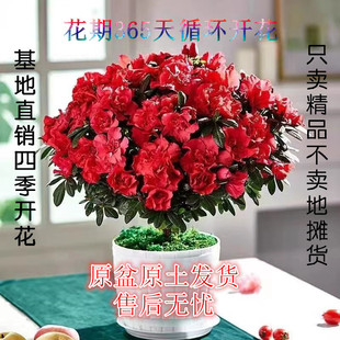 ���N�������ļ��_���ļ������҃������̨���ܾGֲ�辰�����՚�