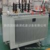 Power Transformer S11 , SCB10 , S13 , SCB11 , SCB13 Services