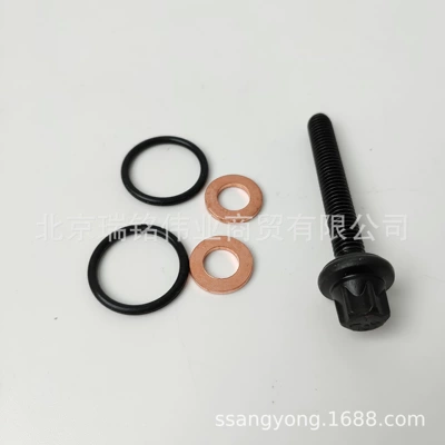 Oil pump, nozzle Repair Kit Screw Seal