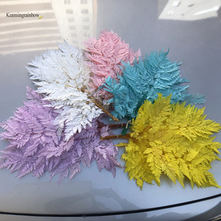 ���������r�����ﻨ��ɽ���Xާ�~��ɫާ�~â���~�仨���~�Ҿ��b�