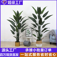 北欧ネット赤シミュレーション天国鳥植物鉢植え大型着地緑植室内客間美人バナナ盆栽置物