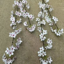 2滨 Ub滨 L֦ѻ Yò÷ؼһ֦