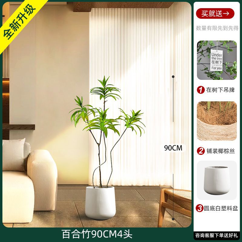[W Ruyi Bamboo] 90CM4 chậu hình bán nguyệt