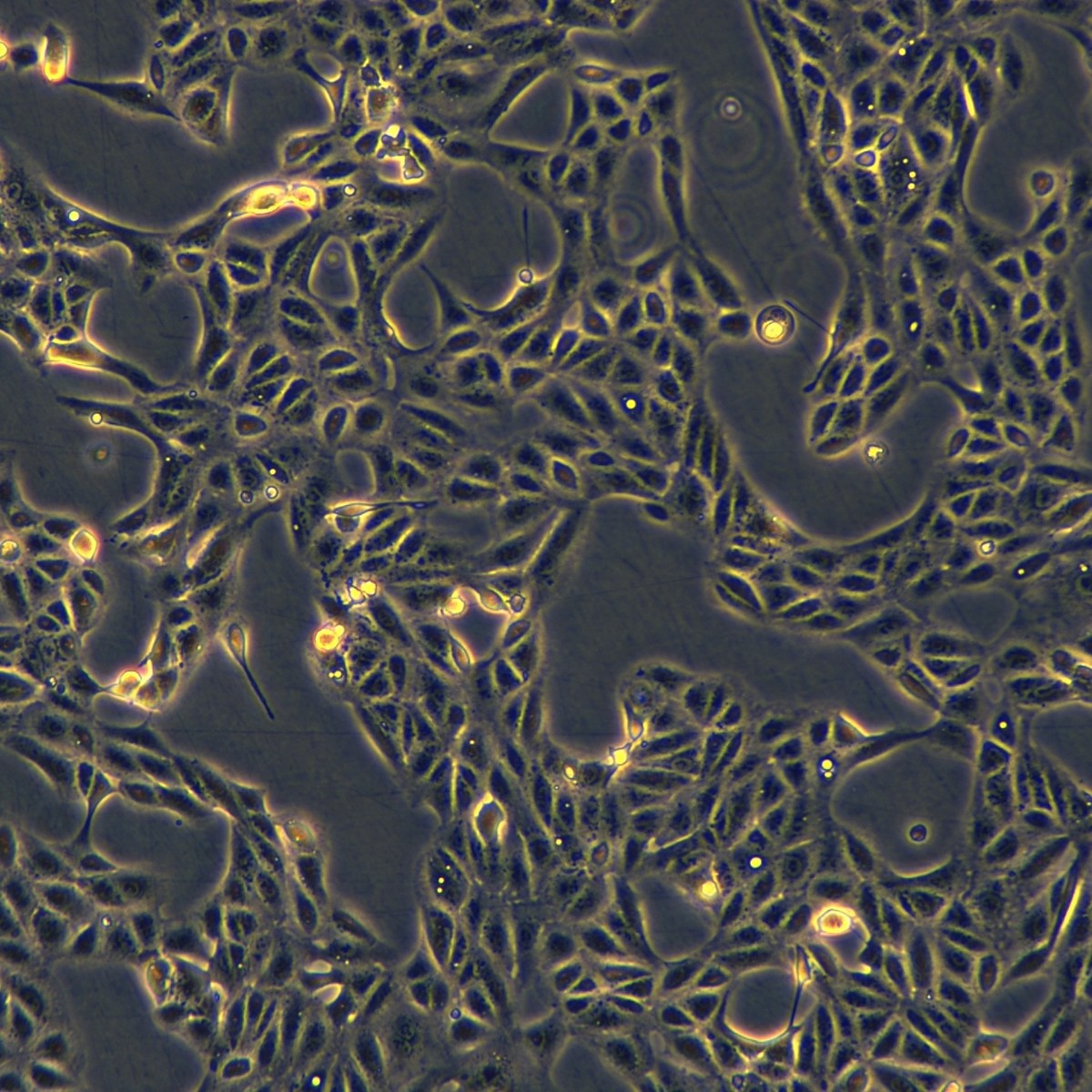 2025-11-05 15:21:18.jpg