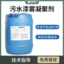 漆雾悬浮污水沉淀凝聚剂