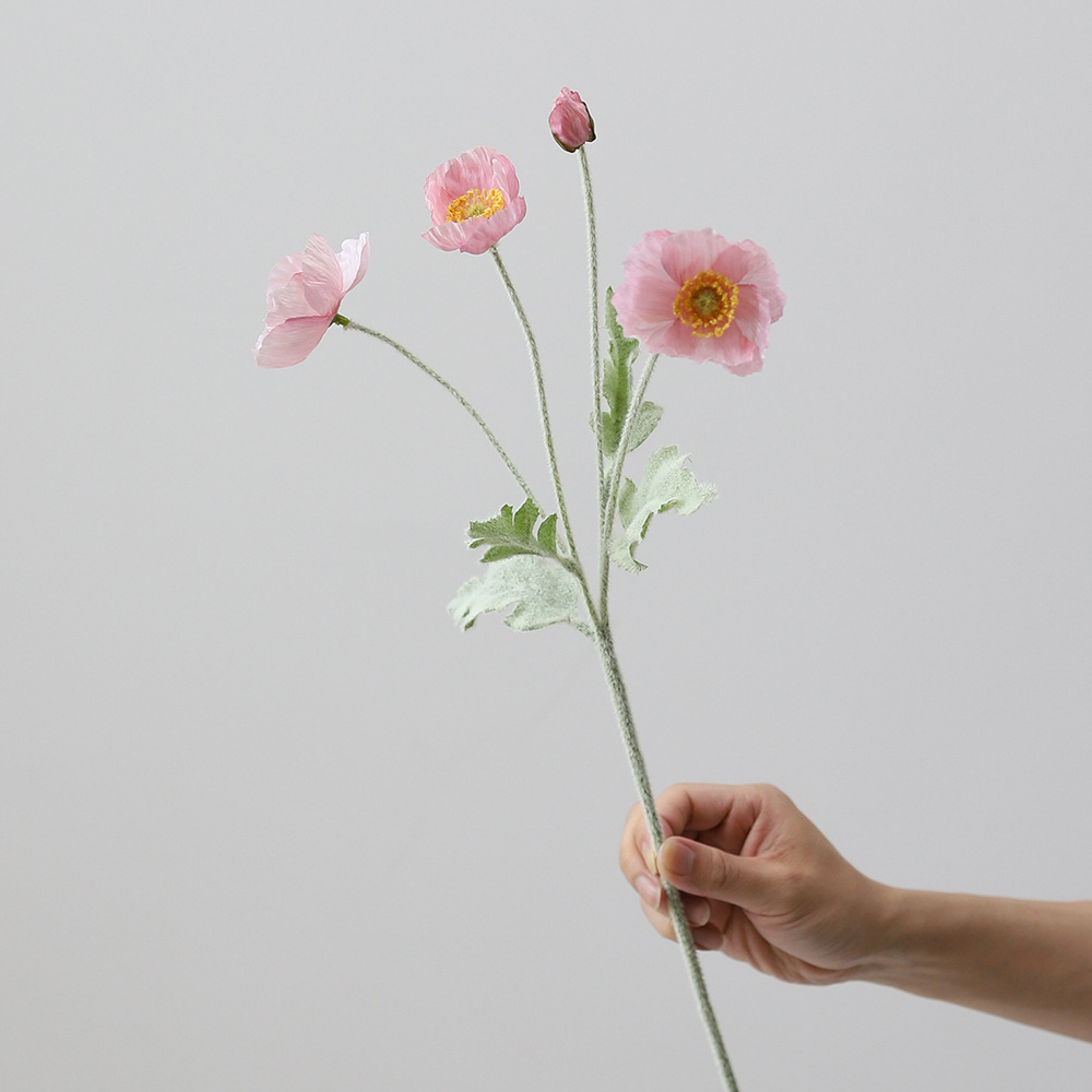 [1] 단백질 분말