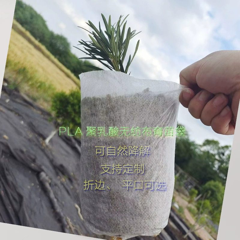 Биоразлагаемые нетканые мешки для рассады из полимолочной кислоты имеют сертификат биоразлагаемости и специально разработаны для экологического выращивания грибов.
