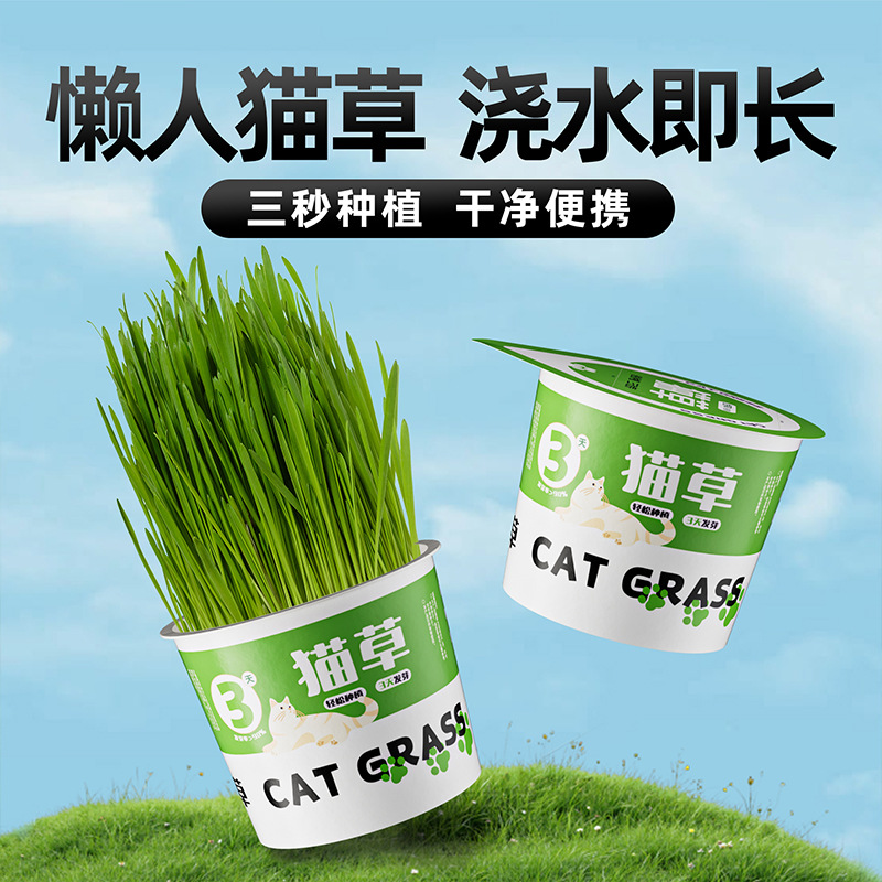 懒人猫草猫咪罐头宠物猫草水培无土去毛球助消化零食泡面猫草盒子