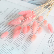���l��β�ݸɻ�����������DIY�������˹��Y��߼��п͏d�b[��