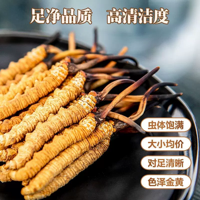 批发冬虫夏草 冻干虫草 西藏青海2023年冬虫夏草断草 可自选礼盒