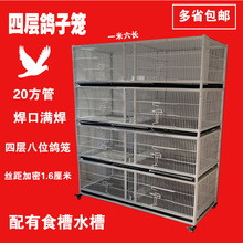 �Č�8λ�䌦���\��ֳ�\���ӻ\�����\�����B�\�g��1.6�������ӌ���