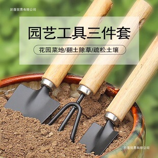 �B��N�����߼������b�N���Ի��B���������԰����F�@�@ˇС�P����