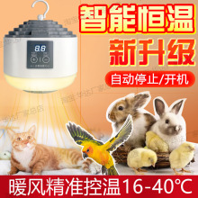 宠物暖风机静音保温灯智能恒温加热暖风猫狗鹦鹉蜥蜴宠物取暖神器