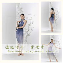半透明竹子背景纱 艺术写真布摄影楼广告打卡拍照道具装饰中国风