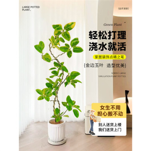 �͏d�Gֲ�S�����k���һ��~��Ƥ����B���F�Ř��҃������ֲ������